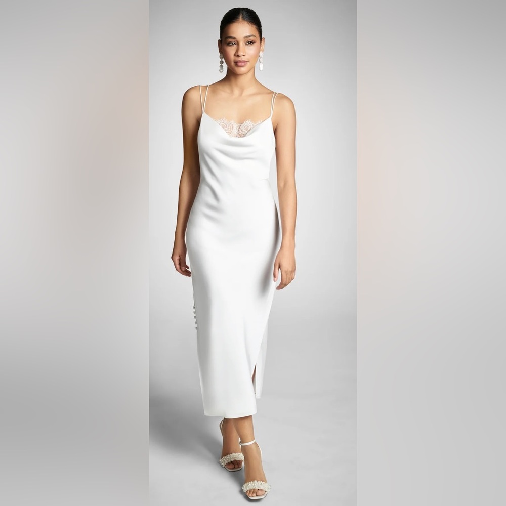 Sachin & Babi Dylan Dress